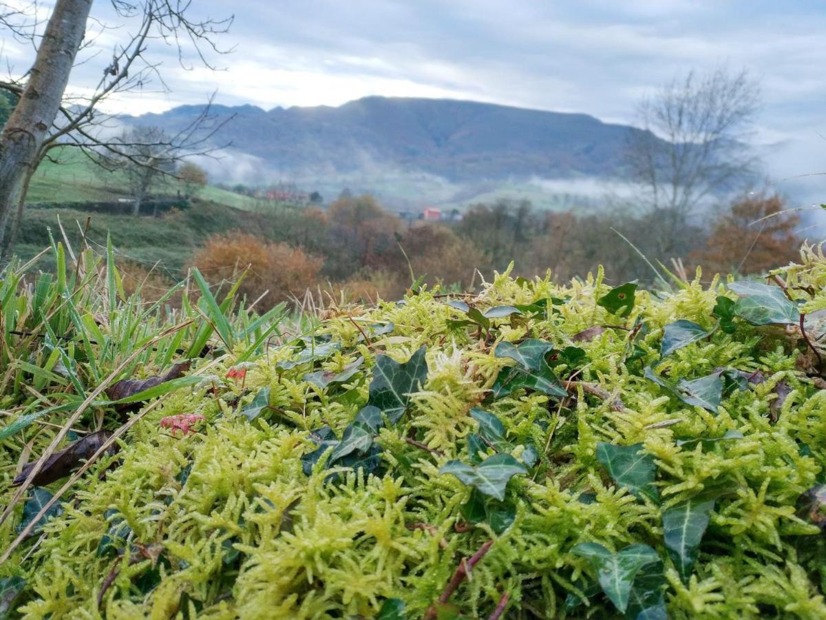 El Balcon Del Horreo Βίλα Piloña Εξωτερικό φωτογραφία
